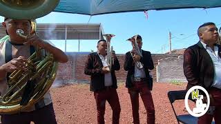Vuela Paloma | Banda Perla de Michoacan