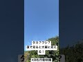 タカ？ワシ？直に見ると大軍に見えます！　 浜松市動物園 公園 浜松市