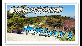 大佐飛山〔藪山ハントEPⅣ〕