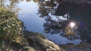 Ritsurin Garden, Takamatsu  日本高松栗林公園