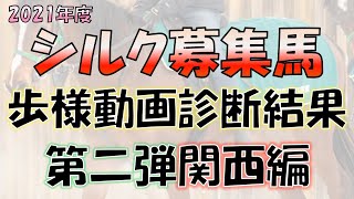 【一口馬主】2021年度シルク募集馬「歩様動画診断結果」関西編