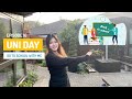 Ephie's Holiday - Uni day at Warwick Business School - Episode 16 沉浸式上学 - 华威商学院留学生活