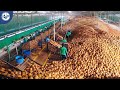 Harvesting Millions Of Tons Of COCONUTS To Produce Coconut Oil, Coir, Peat Blocks, Charcoal