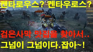 BDO검은사막의 맛집을 찾아서. 6-2 오늘은 켄타우로스 무리입니다. 쿠노자매 마을짱(MAULZANG)과 루드(Rude)의 모험.