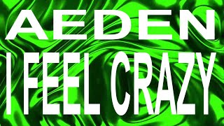 Aeden & Joellé - I Feel Crazy / Instrumental [Copyright Free]