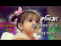 Koliza Tui Amr || কলিজা তুই আমার তুই যে নয়নের আলো || Bangla Lyrics  song🎵