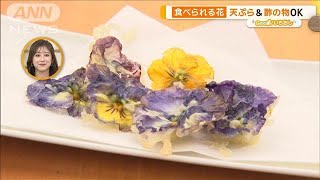 人気上昇！食べられる花「エディブルフラワー」天ぷら＆酢の物も【グッド！いちおし】【グッド！モーニング】(2025年1月28日)