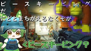 【EFT】ピ　ー　ス　キ　ー　ピ　ン　グ　って知ってる？【ずんだもん】