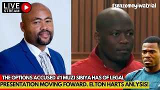 Senzo Meyiwa Trial: Elton Hart, highly independent Analyst, speaks about Kelly Khumalo' position