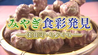 突撃！ナマイキTV「みやぎ食彩発見   村田町―キクイモ―」