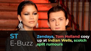 Zendaya, Tom Holland cosy up at Indian Wells, scotch split rumours