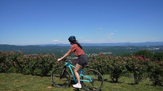 Portable Gravel Bike Fun