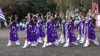 橋本　神明大神宮　二の酉 よさこい　うふふ