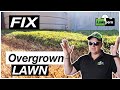 How to FIX Overgrown, Spongy and Thatchy Lawn. TifTuf Renovation. Lawnporn Ep2 2022