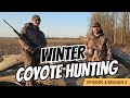 Coyote Hunting- Winter Coyote hunting in West Tennessee.