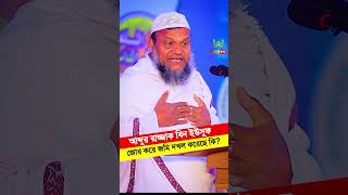 আব্দুর রাজ্জাক বিন ইউসুফ কি আসলেই জোর করে জমি দখল করেছে