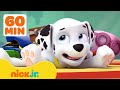 PAW Patrol Marshall's Silliest Moments! 🤭 1 Hour Compilation | Nick Jr.