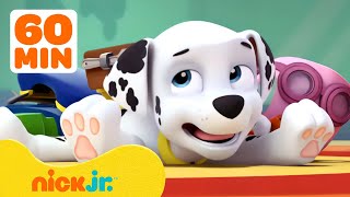 PAW Patrol Marshall's Silliest Moments! 🤭 1 Hour Compilation | Nick Jr.