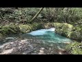 4k日本 鹿児島県屋久島 夏の美しい川のせせらぎ