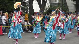 原宿スーパーよさこい２０１６　ＮＨＫ前ストリート流し　とらっくｂｙちふれ