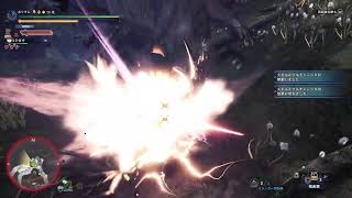 MHWテスト配信