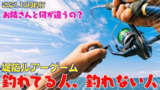 【千葉沖堤防】秋の湾奧でシーバスと青物狙って行ってみた！