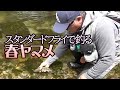 スタンダードフライで釣る春ヤマメ