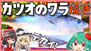 カツオはワラ焼きが一番おいしい！火事手前【料理】【ゆっくり実況】