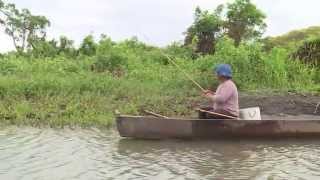 The Pantanal: Brazil's wildlife paradise