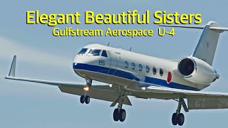 [ASMR]  航空自衛隊 ガルフストリーム U-4 多用途支援機  / Gulfstream Aerospace  JASDF U-4  Multipurpose Support Airplane