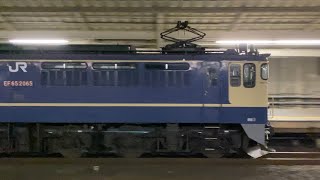 2022.11.29 貨物列車 EF65・EF210 宇都宮線 小山駅通過 (4073・8680)