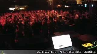 Waldhaus live - Nature One 2012 - USB-Stage