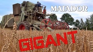 Claas ◤ MATADOR Gigant ◥ Good Old Time der Mähdrescher in den 60er Jahren