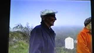 Nedskjutningen av det tyska planet över Uddevalla den 14 april 1940