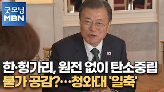 한·헝가리, 원전 없이 탄소중립 불가 공감?…청와대 '일축' [굿모닝MBN]