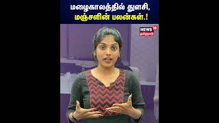 மழைகாலத்தில் துளசி, மஞ்சளின் பலன்கள்.! | Rainy Day Health tips