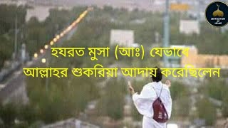 হযরত মুসা (আঃ) যেভাবে শুকরিয়া করেছিলেন|| আবু রায়হান সিদ্দিকী