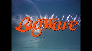 Tatsuro Yamashita - Big Wave (1984) - Full Movie (DVD Upscale)