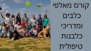 קורס אילוף במרכז | לימודי כלבנות טיפולית | לימודי אילוף כלבים | טיפול בעזרת כלבים ? | כלבנות טיפולית