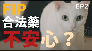 【我不是藥神・我只是貓奴】 EP2 不能冒險失去你——她相信國家疫苗，卻失去父親，這次她要相信什麼，才能挽救愛貓的命？