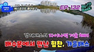 하이배스 ep132 [포인트 돌아보기] 모처럼 강계, 새물유입구의 파이팅 넘치는 가을 배스를 만나다. 버즈베이트 & 만능 카이젤리그