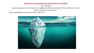 Effects of anomalous expansion of water