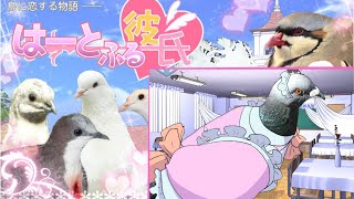 鳩に恋する恋愛ゲームに感動する　【はーとふる彼氏】　#２