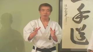 Hirokazu Kanazawa · Shotokan Karate Do · Kumite