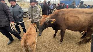 АЛА БУКА РАЙОНУ АК КОРГОН МАЛ БАЗАРЫ