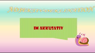 Adjektivdeklination im Akkusativ-German Fun Learning (GFL)