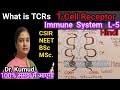 T-Cells Receptor (TCRs) Structure  What is TCRs | #Immune System L-5 | #NEET/MSc/BSc-3 Year | STD