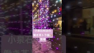 2023年11月30日宮ヶ瀬クリスマス37回🎄みんなのつどい🎅