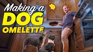 Cooking breakfast omelettes for two hungry dogs