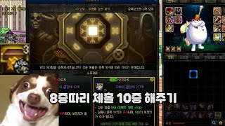 [던파] 8증 체홀 올10증 만들기